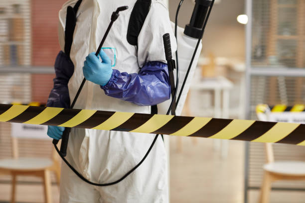 Professional Hoarding Cleanup technician working in Newbury, NH